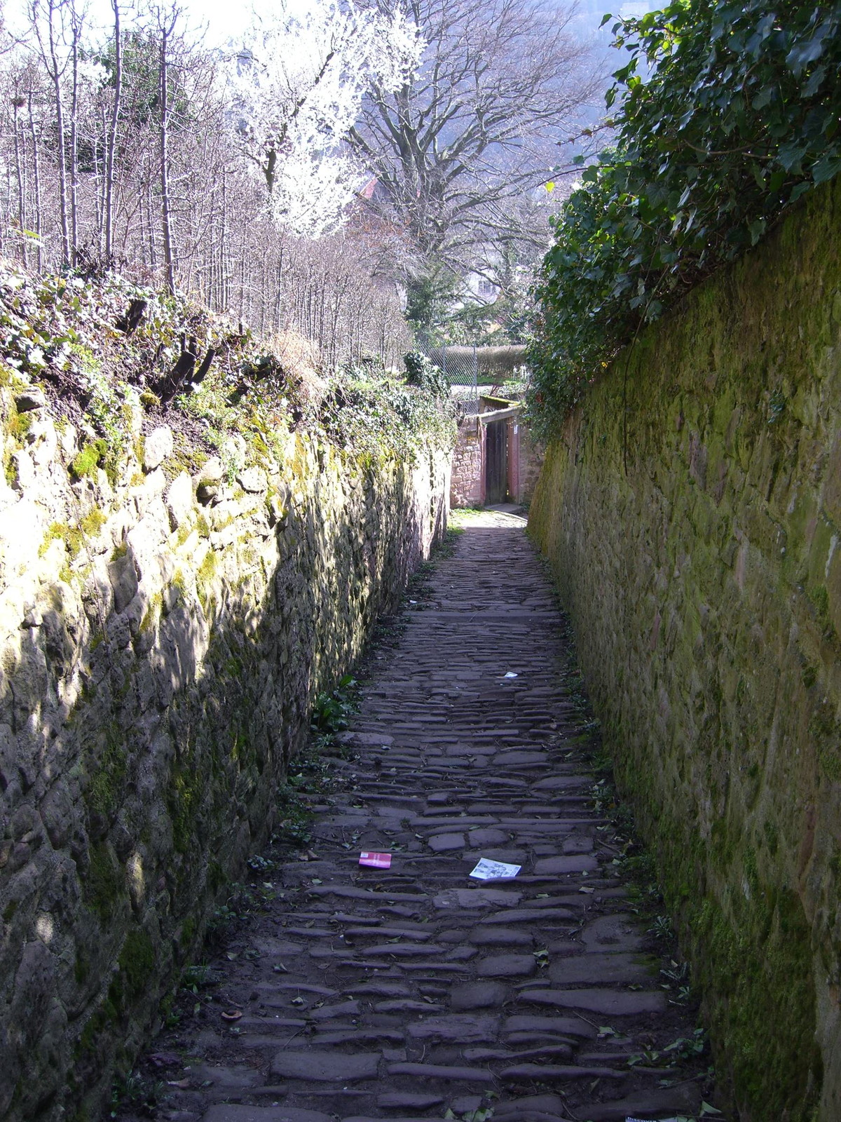 Heidelberg